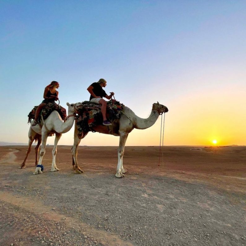 Balade Dromadaire désert